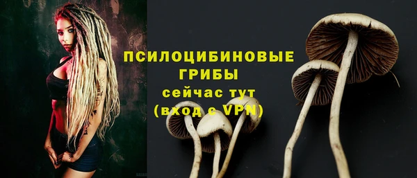 Альфа ПВП Абаза