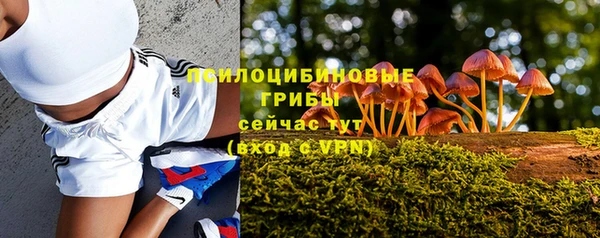 эйфоретик Абинск