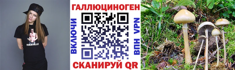 Галлюциногенные грибы мицелий купить сайты Нестеровская