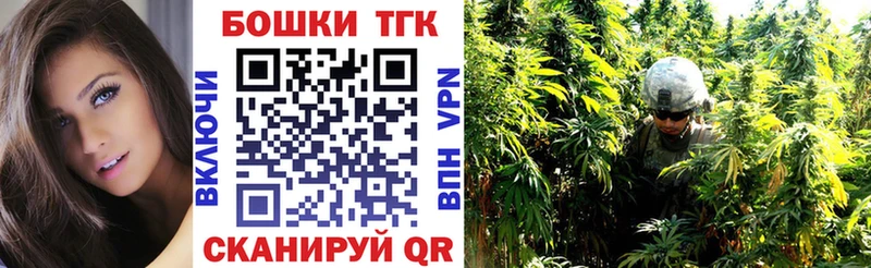 Бошки Шишки семена Нестеровская